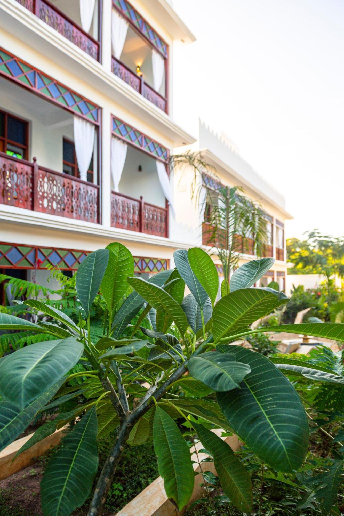 Tasneem Islamic Luxury Suites Jambiani  Ngoại thất bức ảnh
